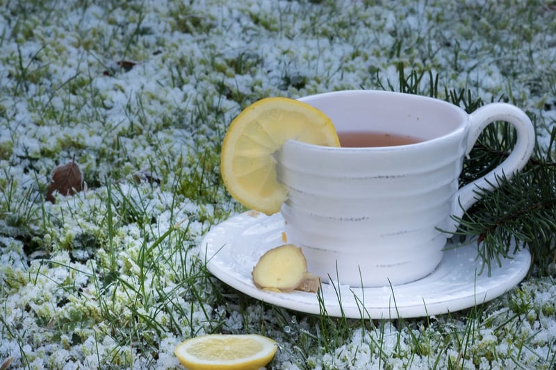 Winter Warmers Recipes
